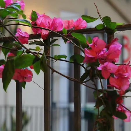 Cortile Stesicoro Alojamento de Acomodação e Pequeno-almoço