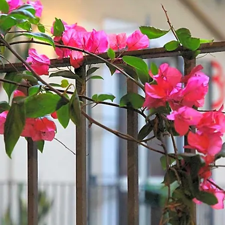 Cortile Stesicoro 4* Katania